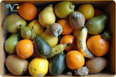 فساد مواد غذایی